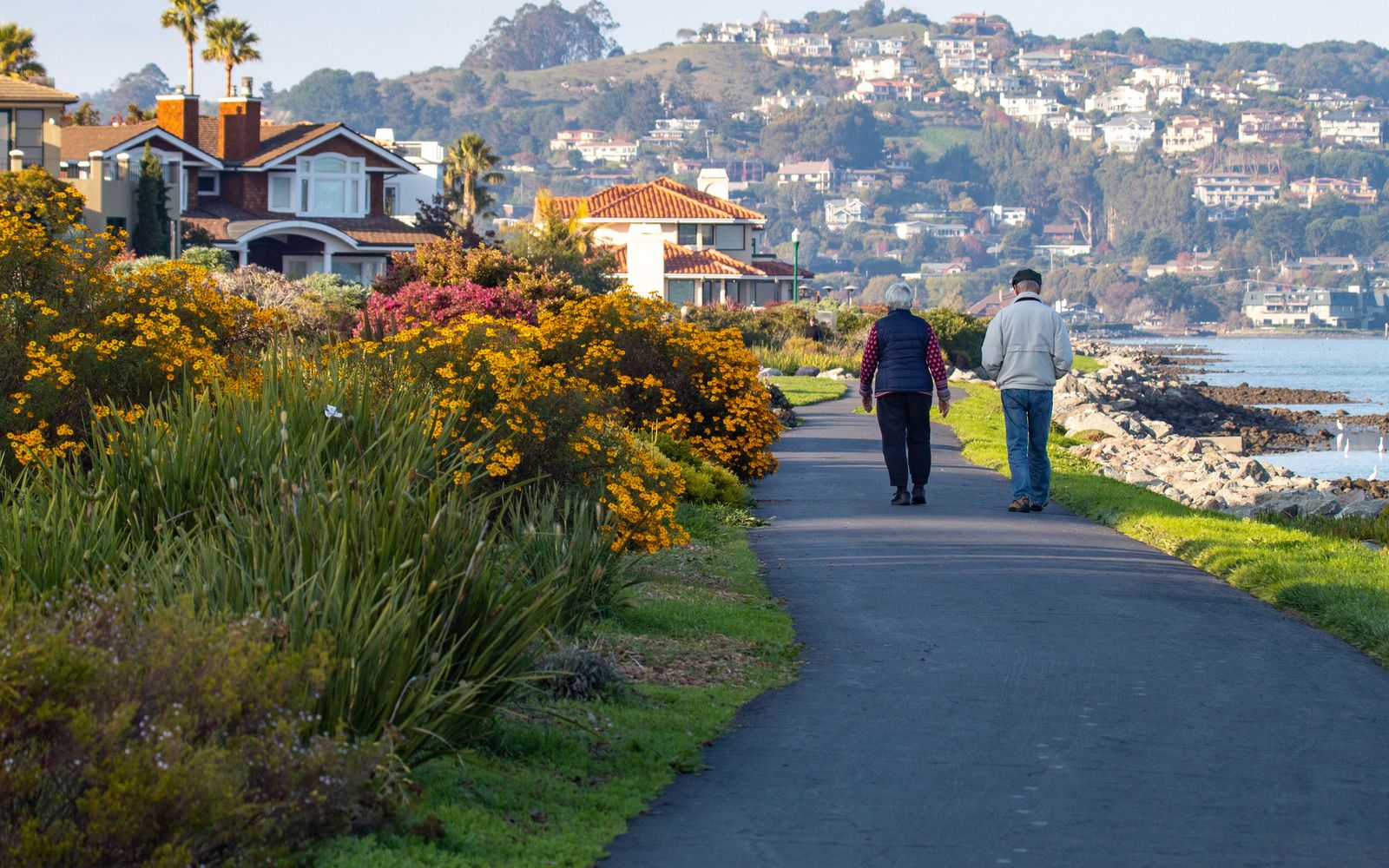 A couple takes a morning walk on a waterfront path lined with wildflowers